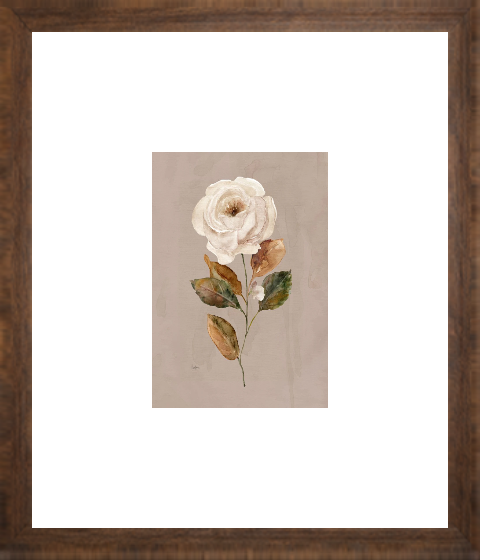 Aged Botanical II