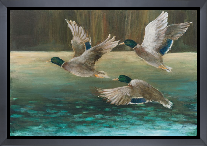 Mallard Flight