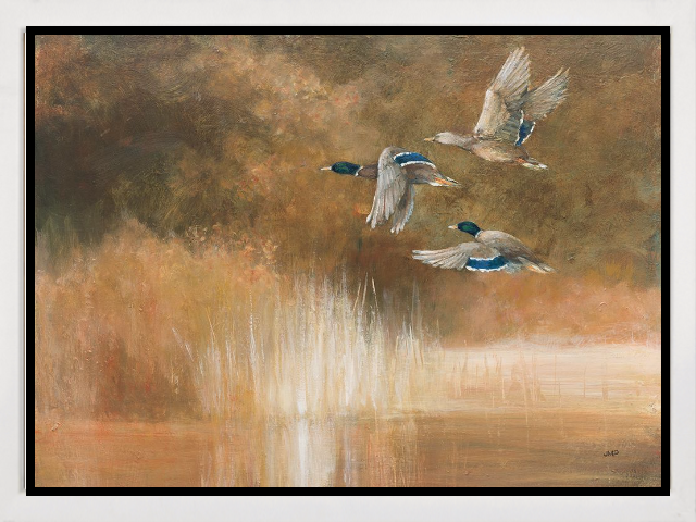 Life on the Lake