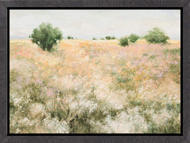 Freedom Field