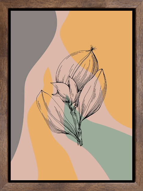 Jojoba plants