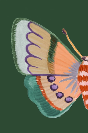 Boho Butterfly on Green I