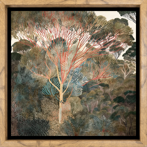 Outback Canopy l