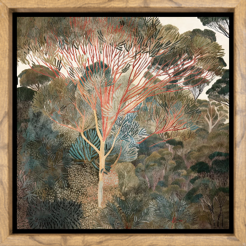 Outback Canopy l