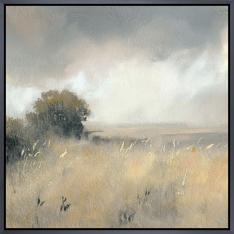 Soothing Fields II