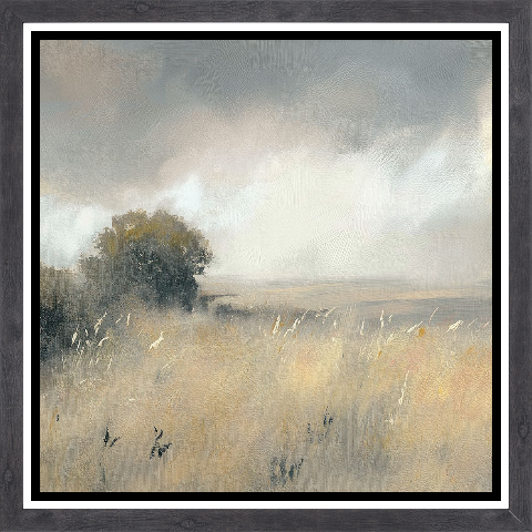 Soothing Fields II