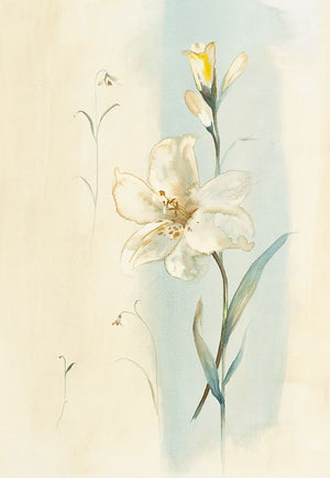 White Orchid