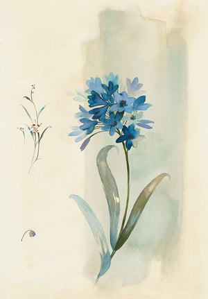 Modern Blue Floral