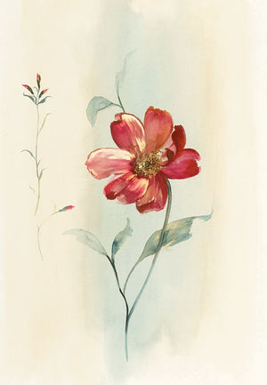 Modern Red Floral
