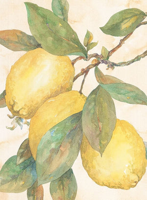 Hanging Lemons