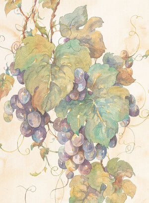 Hanging Grapes
