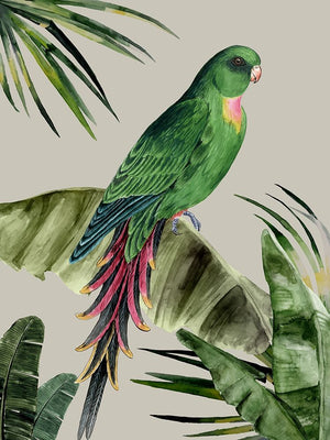 Plume