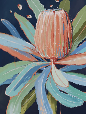 Coral Banksia