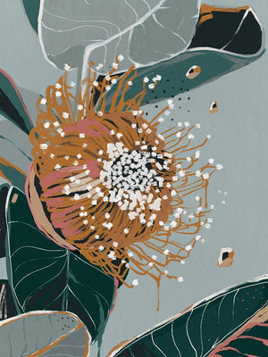 Dusty Flowering Gum II