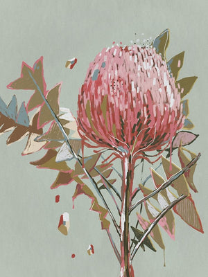 Sage Waratah