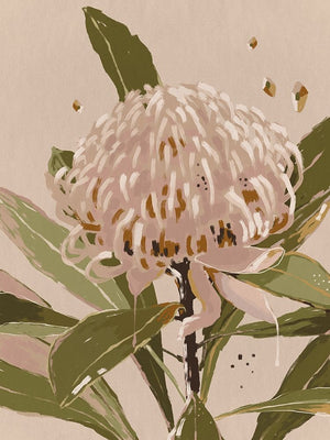 Neutral Waratah