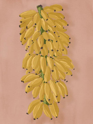 Platano I Pink