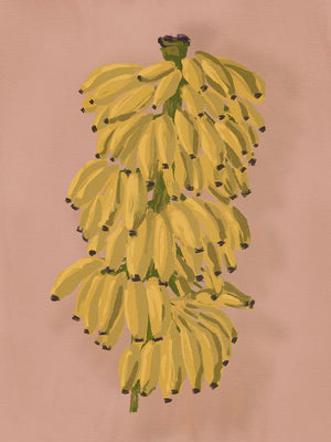 Platano II Pink