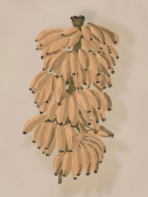 Platano II Clay
