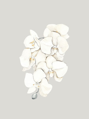 Beige Lilies Poster