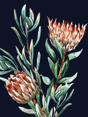 Dark Proteas II Poster