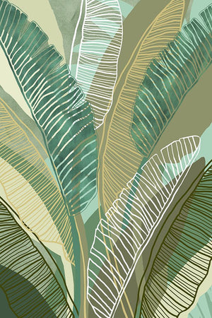 Tropical Botanical II