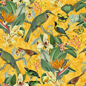 Birds Happy Summer