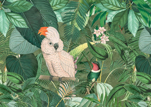 Jungle Friends