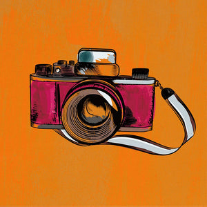 Snapshot I
