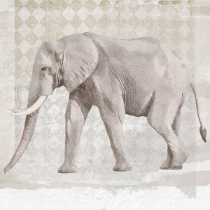 Ellie II