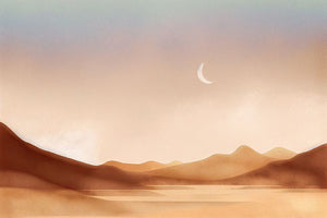 Desert Moonrise